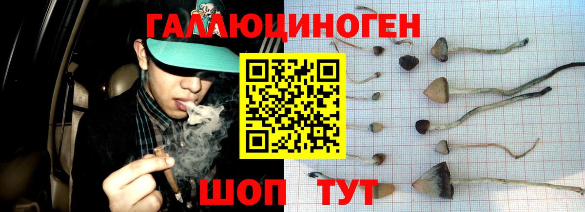 Псилоцибиновые грибы ЛСД  Вход с VPN  Псилоцибиновые грибы мицелий  Белгород 